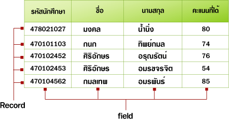 รูปภาพที่เกี่ยวข้อง